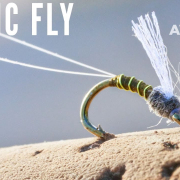 How-to-tie-The-Magic-Fly-AvidMax-Fly-Tying-Tuesday-Tutorials
