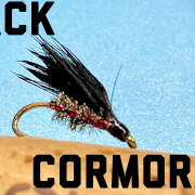 Black-Cormorant