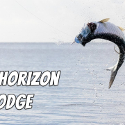 Blue-Horizon-Lodge-Belize-Find-Your-Grand-Slam-in-Permit-Alley