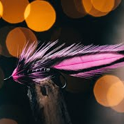 FLY-TYING-Pink-Matuka-TUTORIAL-baitfish-Streamer-classic-fly-tying-fly-tying-vise