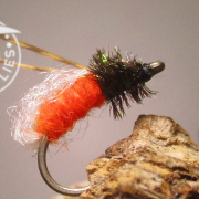 Fly-Tying-the-Missouri-River-Caddis-Emerging-Nymph-Pattern