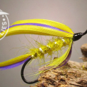 Fly-Tying-the-Yellow-Belle