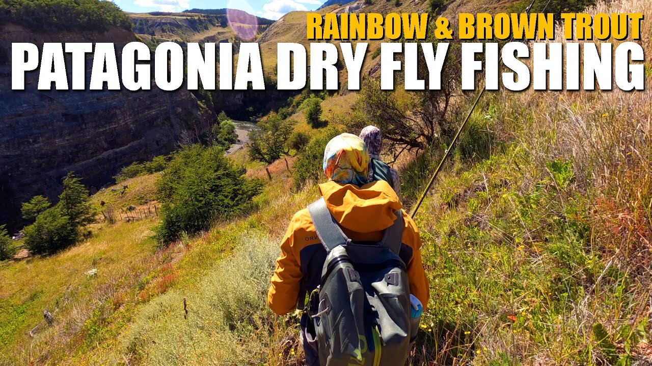 Patagonia-Dry-Fly-Fishing-Rainbow-amp-Brown-Trout-on-Dry-Flies-in-GIN-CLEAR-WATER-IN-PATAGONIA