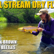 Small-Trout-Stream-Beetle-Battle-Prospecting-Foam-Beetles-in-a-Small-Rainbow-amp-Brown-Trout-Stream