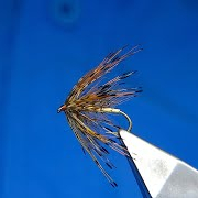 Tying-a-Daddy-Long-Legs-Wet-Fly-with-Davie-McPhail