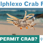 Alphlexo-Crab-Fly-Tying-Tutorial