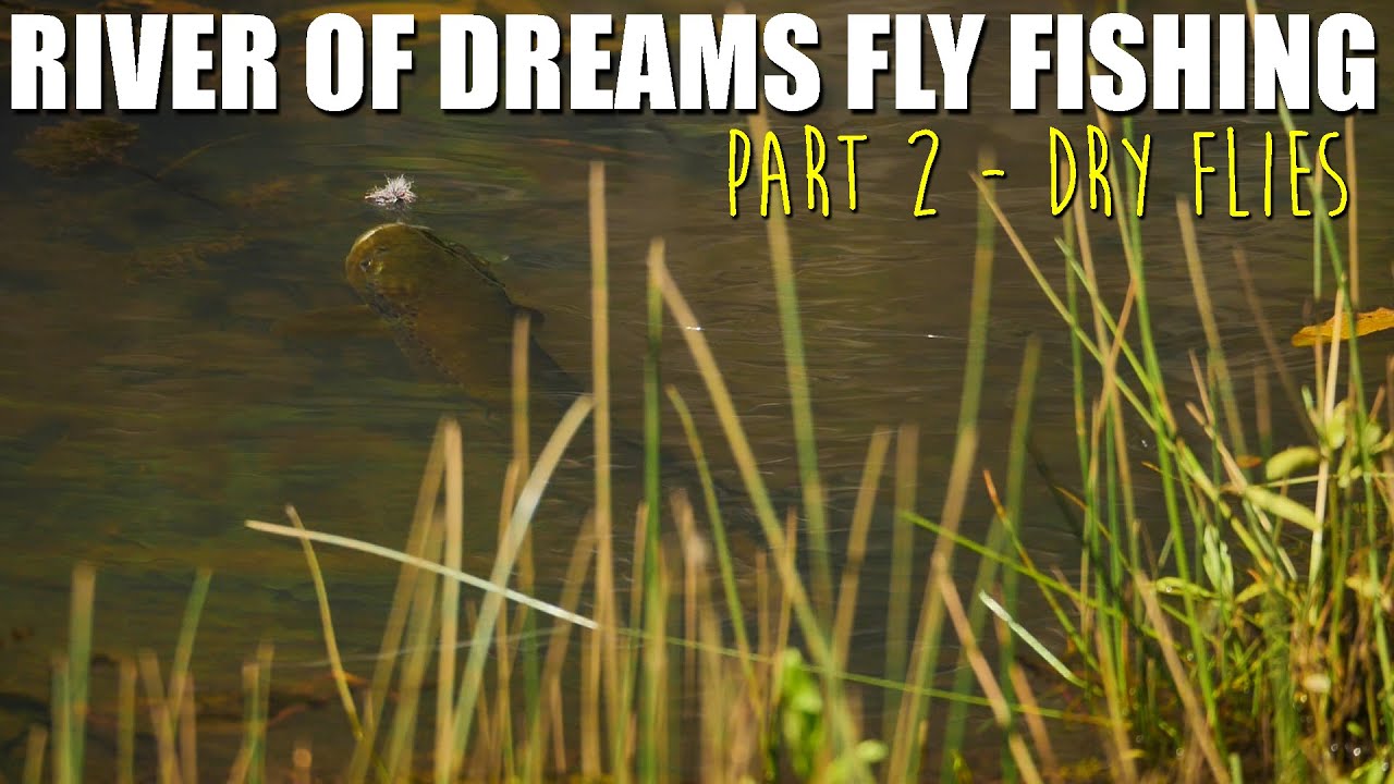 Dry-Fly-Fishing-the-River-of-Dreams-Patagonia-Wilderness-Brown-Trout-Dry-Fly-Fishing-Part-2