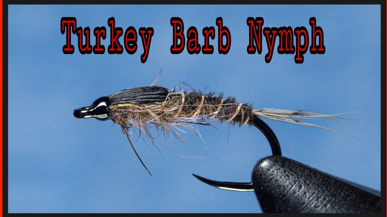 Turkey-Barb-Nymph-Tail-Placement