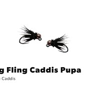 Hogans-Spring-Fling-Caddis-Pupa