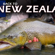 New-Zealand-Fly-Fishing-A-Brown-Trout-Adventure-on-Crystal-Clear-Rivers-by-Todd-Moen