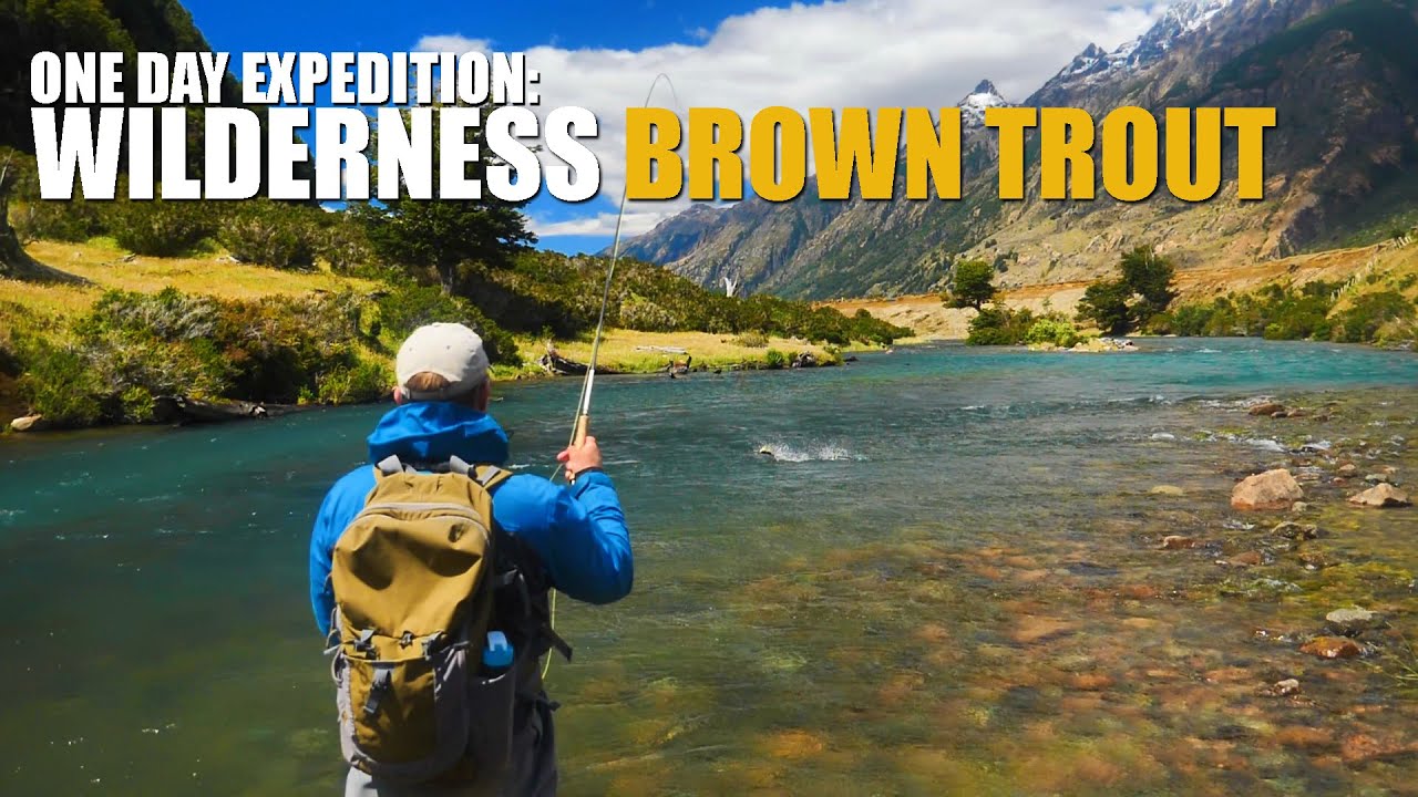 One-Day-Expedition-WILDERNESS-BROWN-TROUT-Patagonia.-Dry-Fly-Fishing-a-Remote-Chile-River