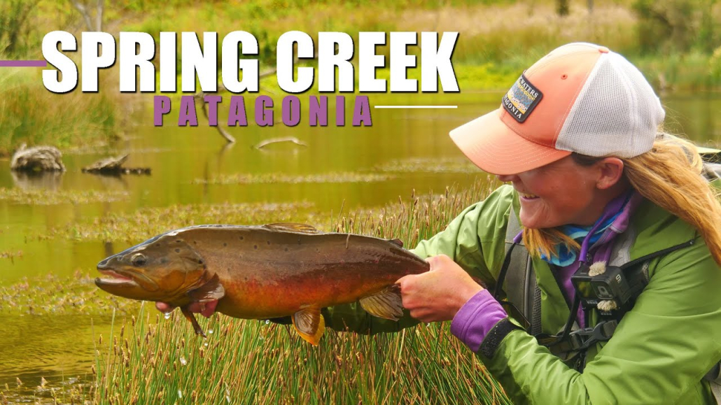 Patagonia-Spring-Creek-Gin-Clear-Spring-Creek-Dry-Fly-Fishing-Brown-Trout