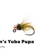 Fly-Tying-Tutorial-Hogans-Yuba-Pupa