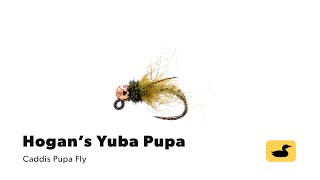 Fly-Tying-Tutorial-Hogans-Yuba-Pupa
