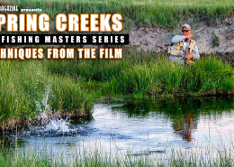 SPRING-CREEK-Fly-Fishing-for-TROUT-TECHNIQUES-FROM-THE-FILM-by-Todd-Moen