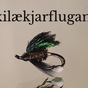 Fiskilaekjarflugan-fluguhnytingar-myndband-Flugusmidjan
