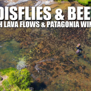 Fly-Fishing-Caddisflies-amp-Beetles-in-a-Freestone-River-with-LAVA-Flows-and-Patagonia-Wind