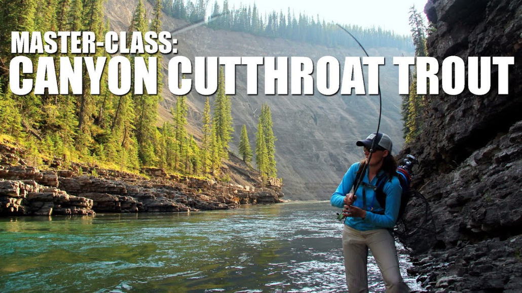 Fly-Fishing-MASTER-CLASS-Locating-Canyon-Cutthroat-Trout.-Fly-Fishing-Alberta39s-Ram-River-Canyon