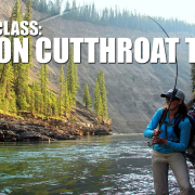 Fly-Fishing-MASTER-CLASS-Locating-Canyon-Cutthroat-Trout.-Fly-Fishing-Alberta39s-Ram-River-Canyon