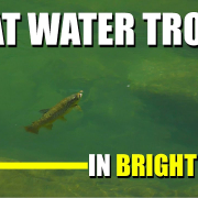 Fly-Fishing-Trout-Rivers-Flat-Water-Trout-in-BRIGHT-SUMMER-SUN-How-to-Fly-Fish-Trout-Rivers