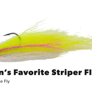 Fly-Tying-Tutorial-Hogans-Favorite-Summer-Striper-Fly