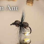 Foam-Ant-fluguhnytingar-myndband-Flugusmidjan