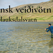 Islensk-veidivotn-Saudlauksdalsvatn