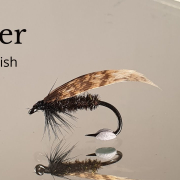 Tying-a-fly-called-Alder-Fly-Tying-tutorial-Ivars-Fly-Workshop