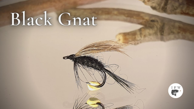 Tying-a-fly-called-Black-Gnat-Fly-Tying-tutorial-Ivar39s-Fly-Workshop