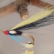 Tying-a-fly-called-Black-Sheep-Fly-Tying-tutorial-Ivars-Fly-Workshop