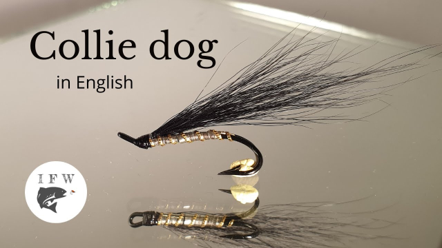 Tying-a-fly-called-Collie-Dog-Fly-Tying-tutorial-Ivars-Fly-Workshop
