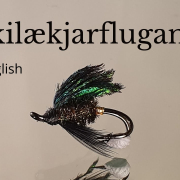 Tying-a-fly-called-Fiskilaekjarflugan-Fly-Tying-tutorial-Ivars-Fly-Workshop
