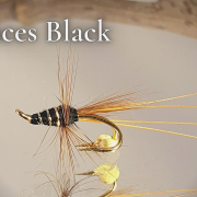 Tying-a-fly-called-Frances-Black-Fly-Tying-tutorial-Ivars-Fly-Workshop