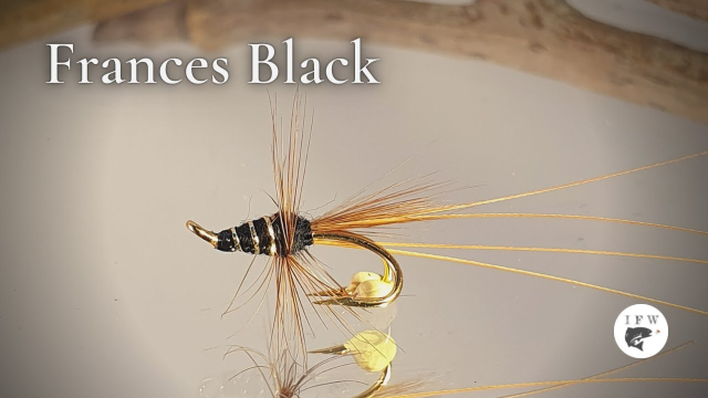 Tying-a-fly-called-Frances-Black-Fly-Tying-tutorial-Ivars-Fly-Workshop