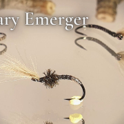Tying-a-fly-called-Peccary-Emerger-Fly-Tying-tutorial-Ivar39s-Fly-Workshop
