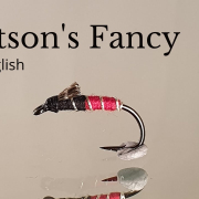 Tying-a-fly-called-Watsons-Fancy-nymph-Fly-Tying-tutorial-Ivars-Fly-Workshop