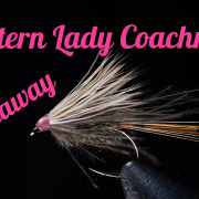 Western-Lady-Coachman-GIVEAWAY-BOX-RULES