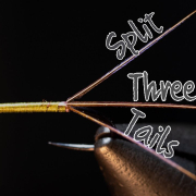 Split-Three-Tails