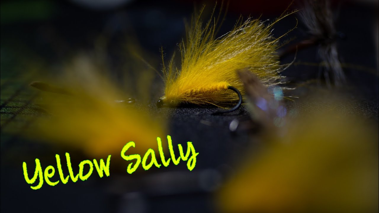 Yellow-Sally