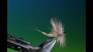 Fly-Tying-an-extended-body-mayfly-dry-fly-with-Barry-Ord-Clarke