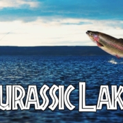 Jurassic-Lake-Lodge-INSANE-Rainbow-Trout-Fly-Fishing-in-Remote-Patagonia