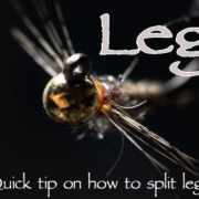 Quick-Tip-How-to-Split-Legs