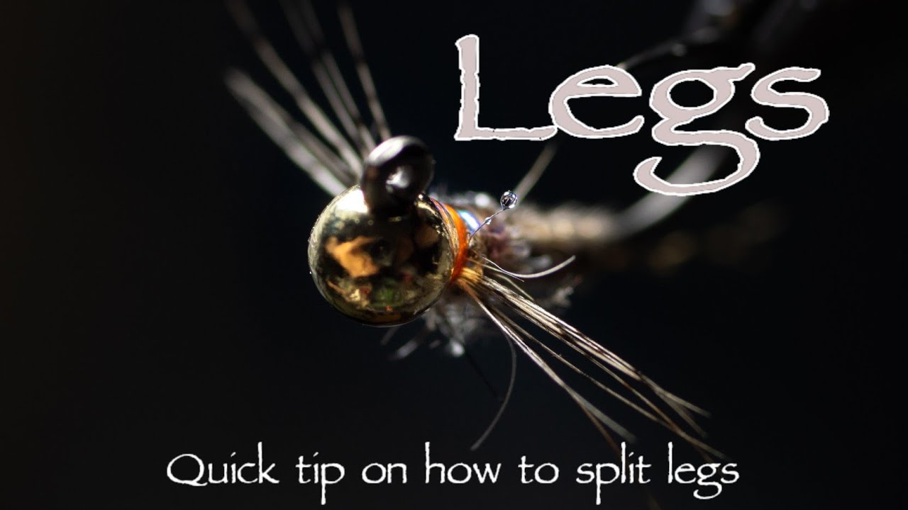 Quick-Tip-How-to-Split-Legs