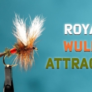 Royal-Wulff-Attractor-Fly-Dry-Fly-For-Fast-Water-Fly-Tying-Tutorial