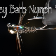 Turkey-Barb-Nymph-Vol.-2