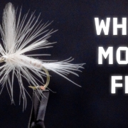 White-Moth-Fly-Productive-Summer-Smallmouth-Fly-Fly-Tying-Tutorial