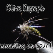 BWO-Nymph-and-comment-on-the-fly-you-tied