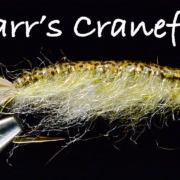 Barrs-Cranefly-Nymph-Fly-Tying-Instructions-Tied-by-Charlie-Craven