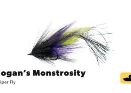 Fly-Tying-Tutorial-Hogans-Monstrosity-Muskie-Inspired-Striper-Fly