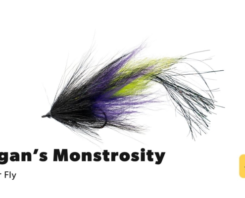 Fly-Tying-Tutorial-Hogans-Monstrosity-Muskie-Inspired-Striper-Fly